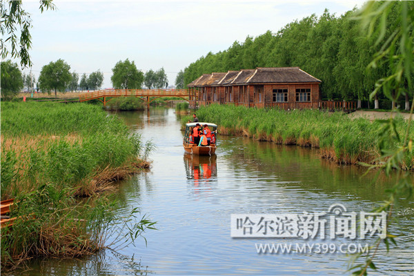 哈尔滨日报7月16日讯 15日，白鱼泡国家湿地公园里，游人乘船观赏如画的湿地美景。“迷人的哈尔滨之夏”影响力日益增强，吸引了越来越多的国内外游客到哈市游览松花江湿地风光，感受哈尔滨夏都魅力。